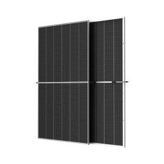 Соларен панел TSM-730NEG21C.20 730W