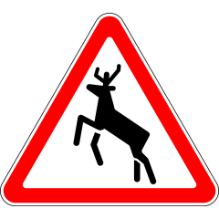 Пътен знак A22